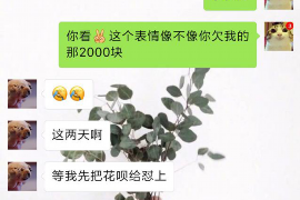 宜州专业催债公司的市场需求和前景分析